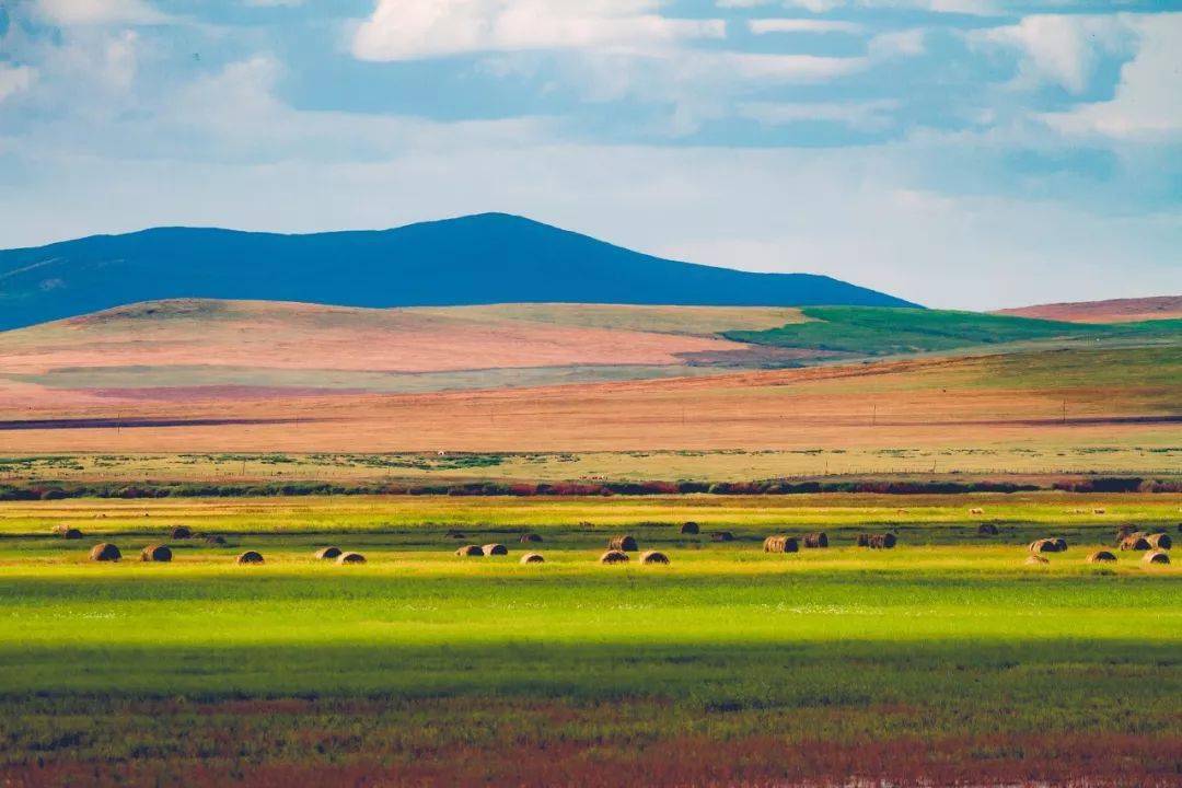 内蒙古绿意盎然的温馨之地