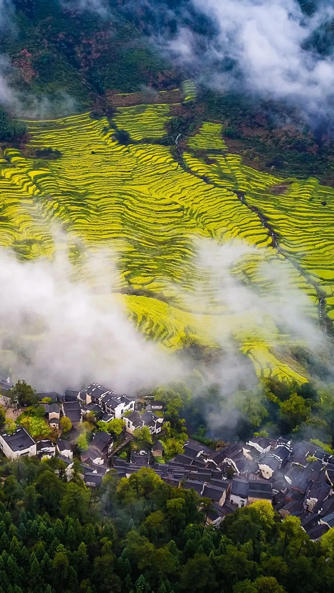 江西经济社会发展研究综述