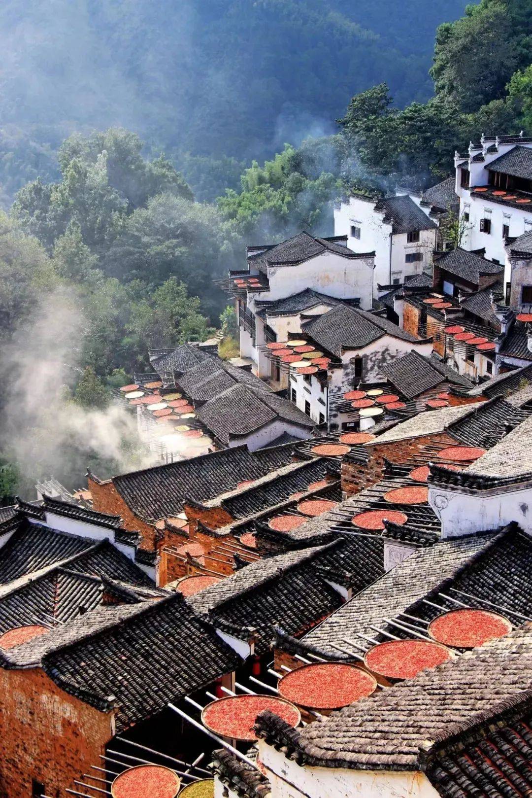 江西经济社会发展研究综述