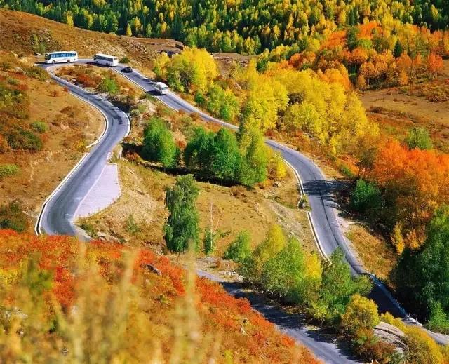 新疆，历史长河中的璀璨明珠闪耀之地